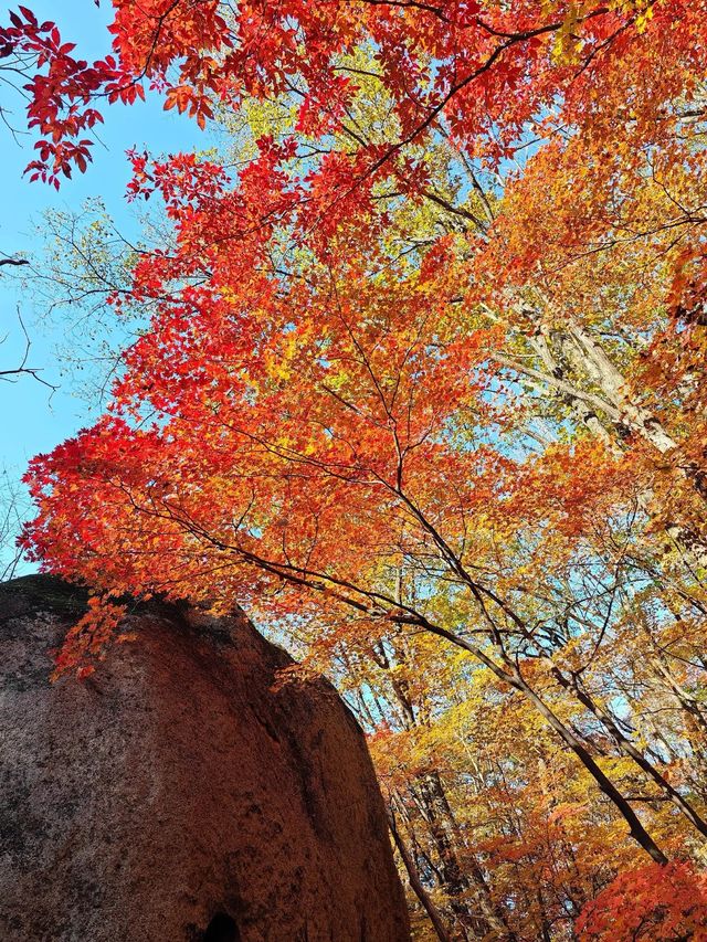 五女山秋：紅葉雲海，遼東秘境