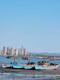 煙台已回（不用避雷）丨真的很假