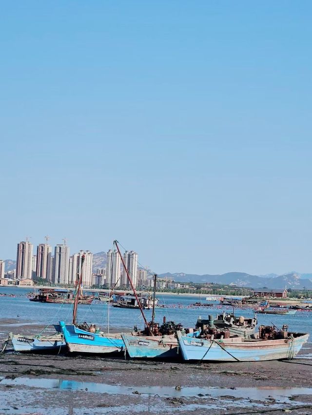 煙台已回（不用避雷）丨真的很假