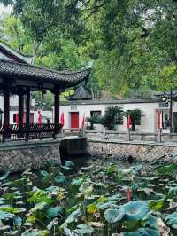 福州西湖公園桂齋，滿園關不住的光影畫 🍃