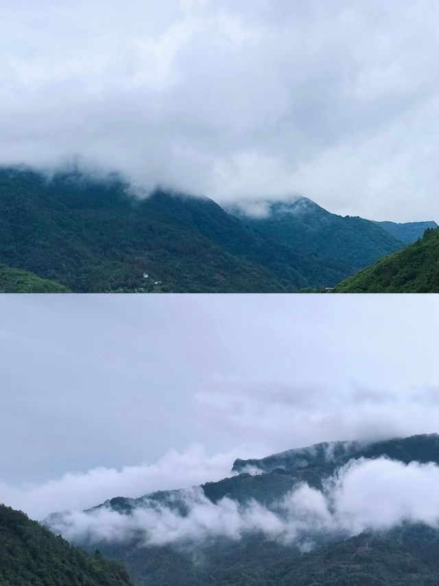 探秘後柳水鄉，感受漢江邊的秘境！