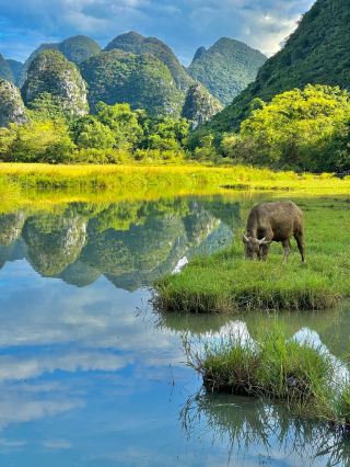 Guilin 4-Day In-Depth Travel Guide: You Can Shoot Stunning Photos Without Spending a Dime!