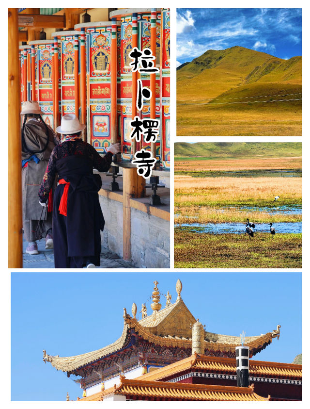 甘南四日環線攻略：高原秘境，心靈之旅