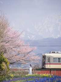 日本小眾電車打卡地圖誰說鐵軌美景只有富山？