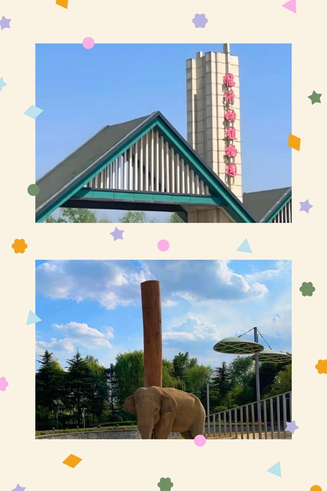 臨沂動植物園：藏在城央的自然秘境   當沂沭河畔的微風掠過竹林，大熊貓銀柯正捧著竹筍悠閒進食；猛獸區