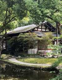 南京中山植物園大賞花浪漫程度不輸玫瑰！