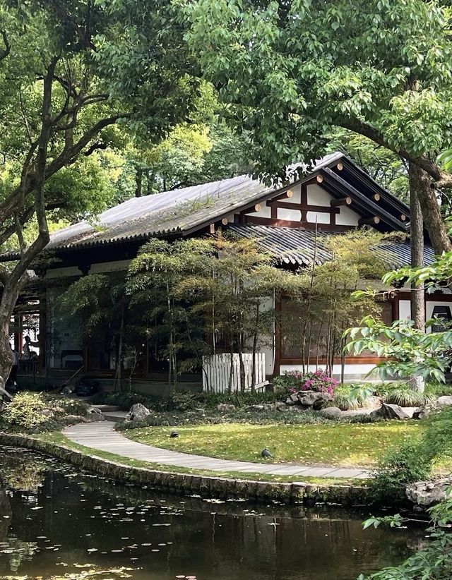 南京中山植物園大賞花浪漫程度不輸玫瑰！