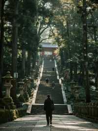 奈良公園手記｜在神鹿與古寺間收藏唐朝遺落的時光