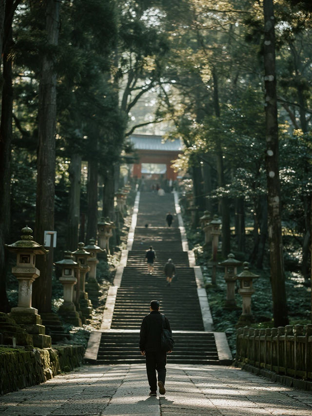 奈良公園手記｜在神鹿與古寺間收藏唐朝遺落的時光