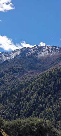 不去這山就去納山