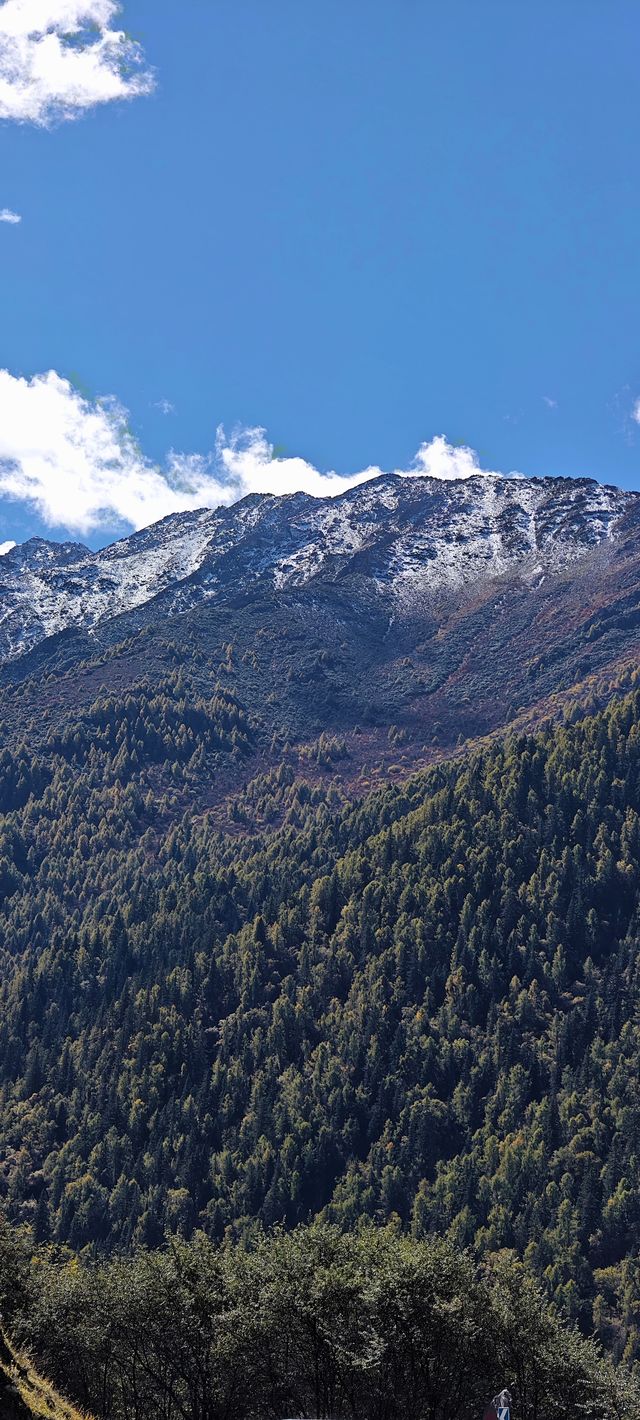 不去這山就去納山