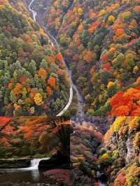 光霧山紅葉季｜中國紅葉第①山，私藏絕美賞秋秘境