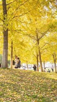 這個秋天總要去趟武漢吧，感受這座城市的秋日私語