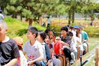 西安「粉黛乱子草」已悄然綻放