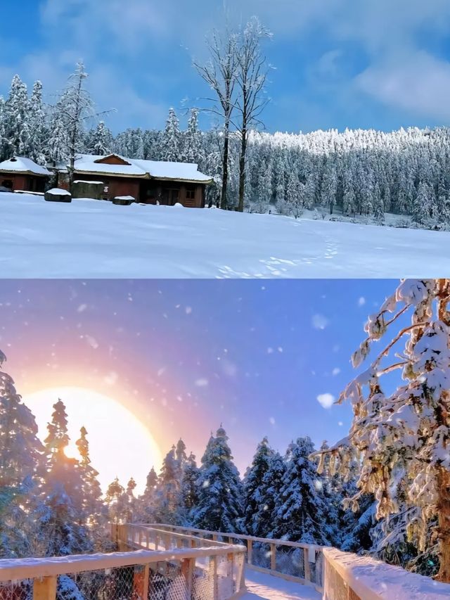 重慶下雪了！衝！仙女山2日遊保姆級攻略！