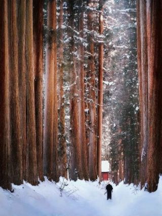 ไม่มีใครบอกฉันเลยว่านากาโน่ ใกล้โตเกียว จะสวยได้ขนาดนี้!!