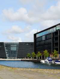 丹麥包車遊朋友圈C位直接拿捏住