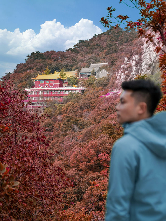 北京1h,終於有人把盤山攻略說明白了! 北京1h,終於有人把盤山攻略說明白了!
