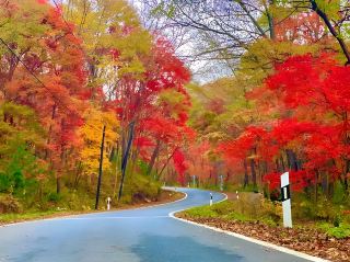 This treasure road offers boundless autumn colors