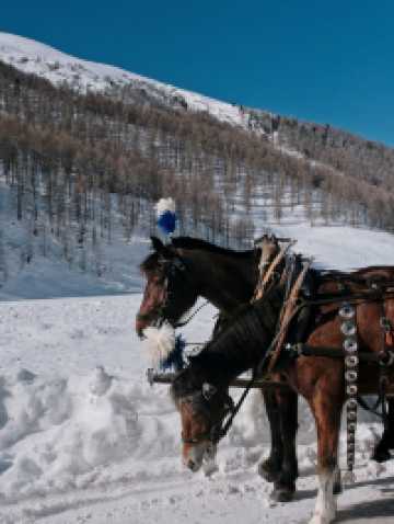 Free Winter Walk to Val Fex – Switzerland’s Quiet Alpine Paradise