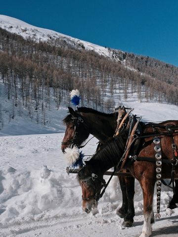 Free Winter Walk to Val Fex – Switzerland’s Quiet Alpine Paradise