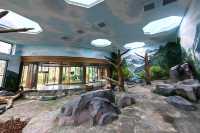 我國再添一座大熊貓基地