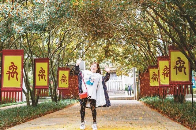 紹興桂花季盛況空前，滿城飄香