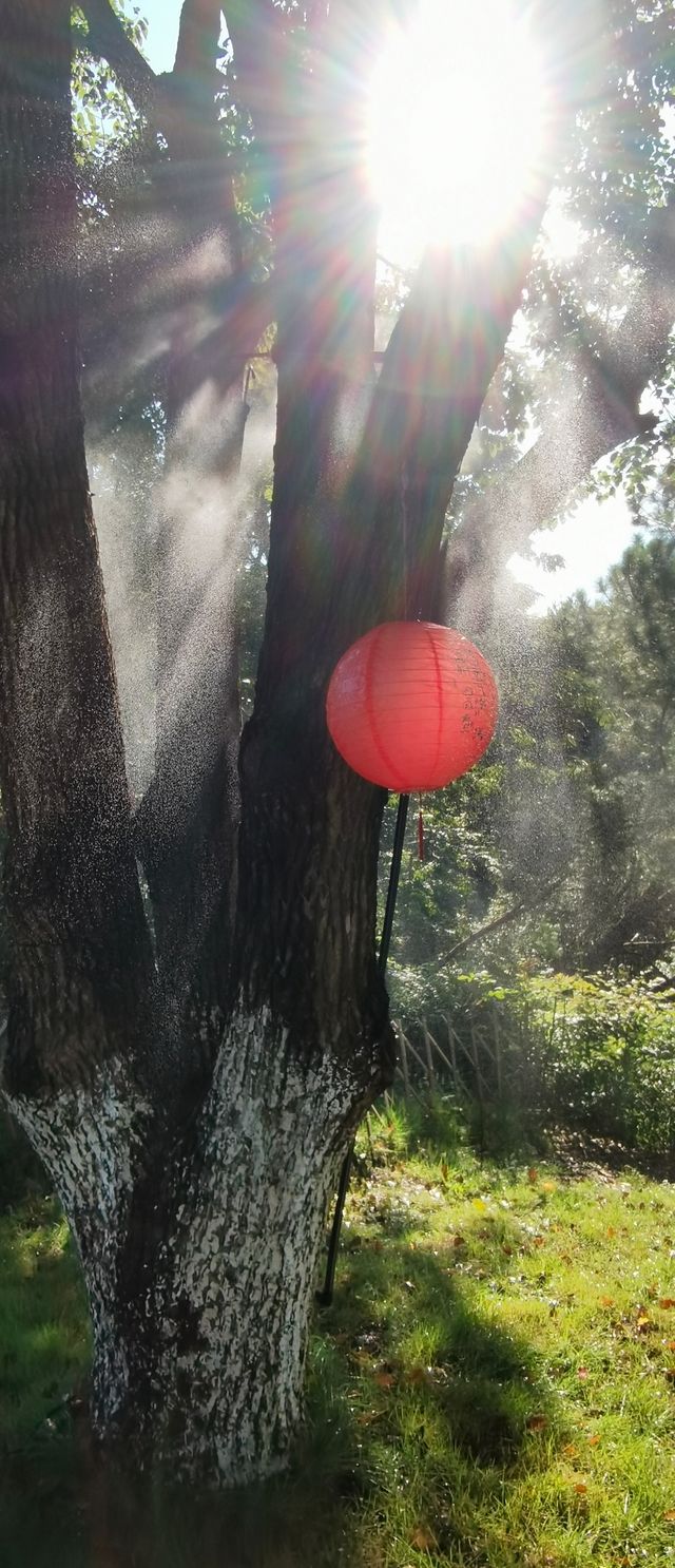 不一定非要去馬代,這片山水足以讓你心醉 不一定非要去馬代,這片山水足以讓你心醉