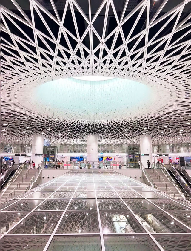 深圳遛娃一日遊 地鐵直達!免費!這條路線太香了 深圳遛娃一日遊 地鐵直達!免費!這條路線太香了