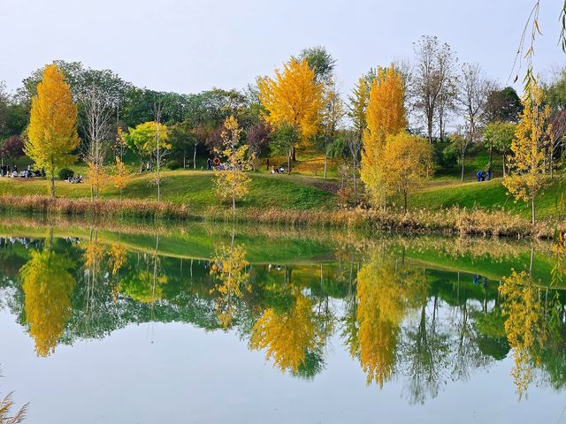 沣河梁家灘,最後的秋色 沣河梁家灘,最後的秋色