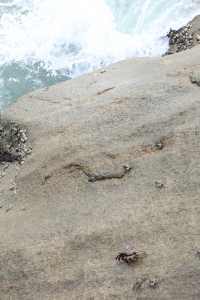 大小洞天:超適合散步的一個景區