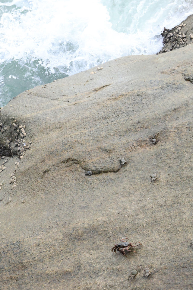 大小洞天:超適合散步的一個景區 大小洞天:超適合散步的一個景區