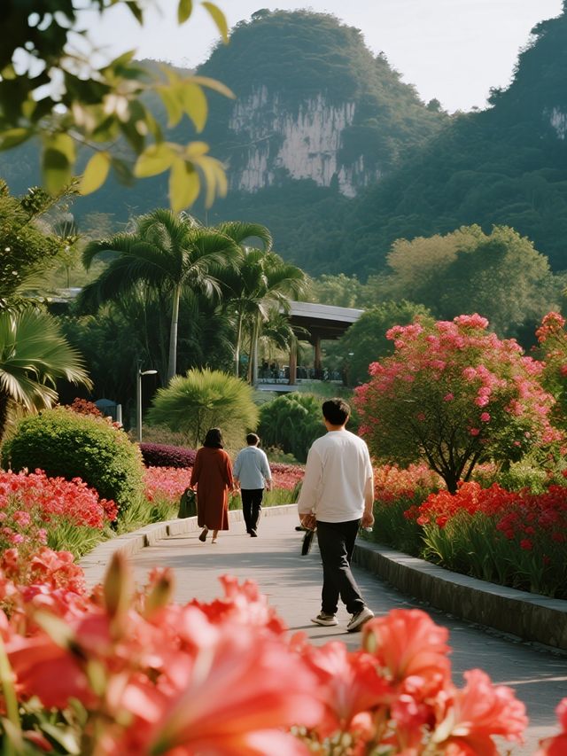 花都馬嶺觀花植物園!撸鹿看孔雀超快樂 花都馬嶺觀花植物園!撸鹿看孔雀超快樂