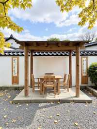 挖到寶喇！甘肅呢個小眾森林公園，影相靚過收費景點！