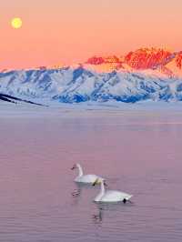 賽里木湖｜冬日限定·天空之鏡Live圖直出！#賽里木湖藍