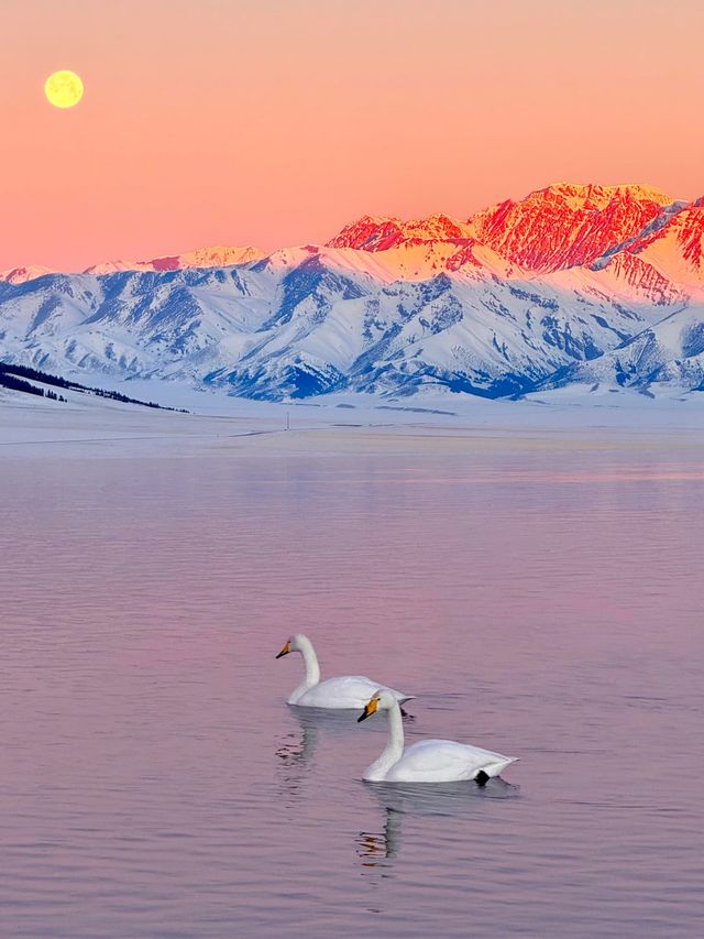 賽里木湖｜冬日限定·天空之鏡Live圖直出！#賽里木湖藍