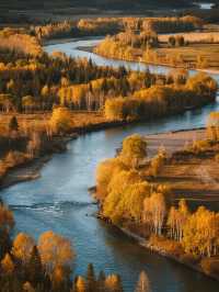 10月林芝親子遊！把童話秋景搬進現實