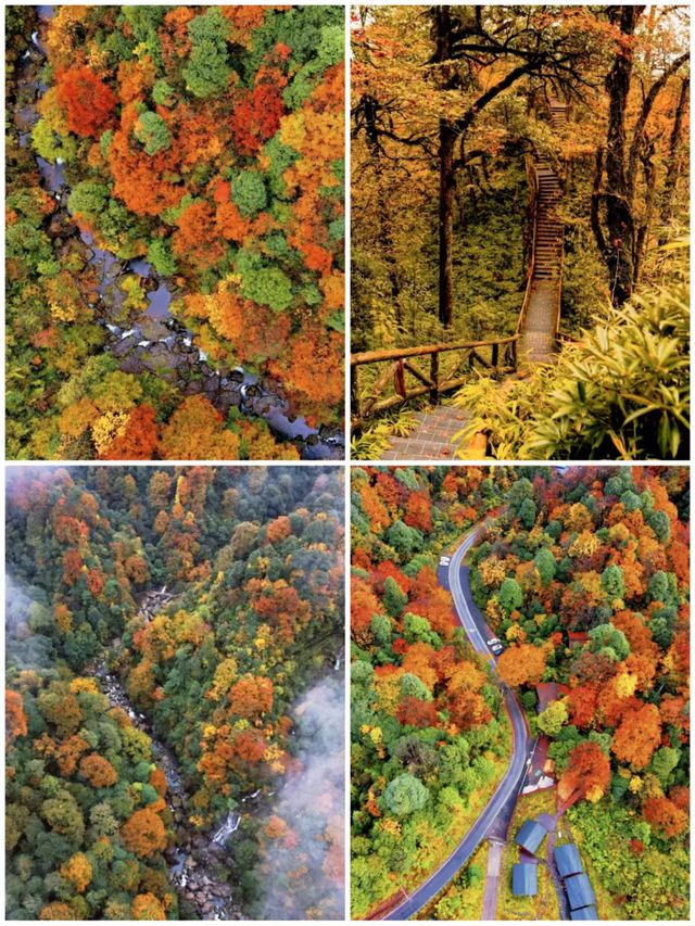 疊翠溪集翠溪森林奇景於一體的旅遊寶藏地