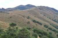 香港大東山,秋日芒草的夢幻之旅!