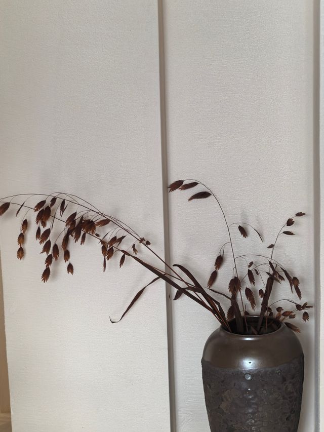 麗江住對民宿才叫度假！閱山觀景這波直接封神