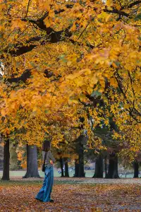 紐約三日輕鬆網紅打卡攻略｜美景、美食、好拍
