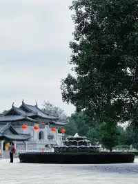 這是我花5蚊雞就能看到的景色？！？！