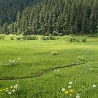 香格里拉攻略｜缺氧但不缺信仰，3天2夜玩轉人間仙境！