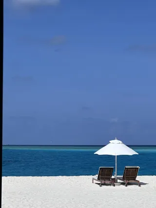 フラワシ｜モルディブ島選び大成功