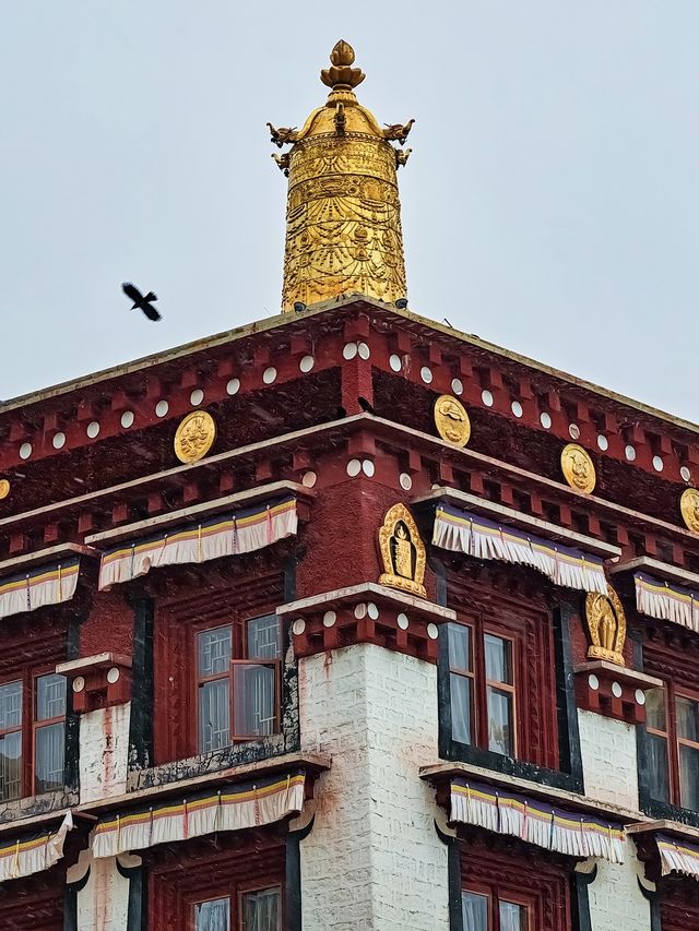 在理塘寺｜我看到了信仰美好的樣子