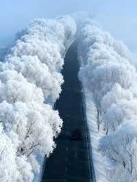 伊犁|冬天的避寒之地