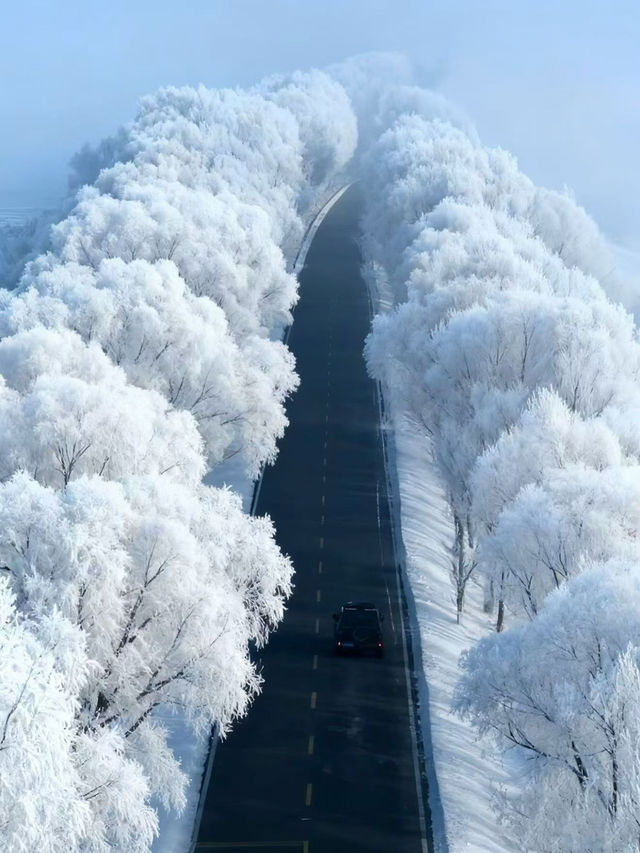 伊犁|冬天的避寒之地 伊犁|冬天的避寒之地