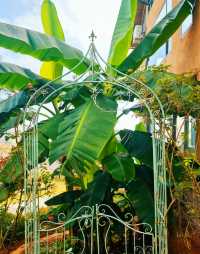 來到雲南丘北普者黑，住進這家浮生若夢湖景酒店，真的是旅行中最明智的選擇！地理位置絕佳，就在普者黑核心