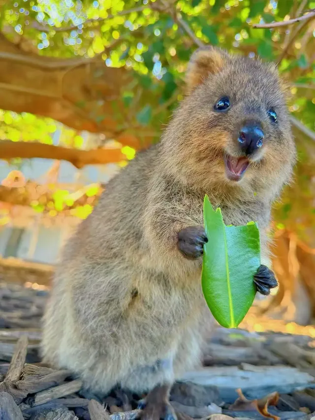 人均9K+！玩轉西澳8天30地