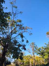 闖入普洱秘境被這片鋪天蓋地的藍治癒了